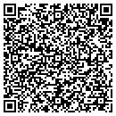 QR code with Public Storage contacts