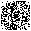QR code with Publicaffairs L L C contacts