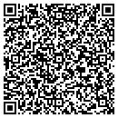 QR code with Pt Foods Inc contacts
