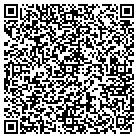QR code with Professional Blind System contacts
