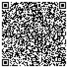QR code with Blue Studios contacts