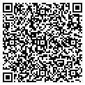 QR code with D Flax contacts