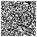 QR code with Public Image contacts