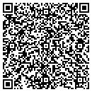 QR code with Cartographic Edge Inc contacts