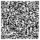 QR code with Put It In Writing Inc contacts