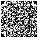 QR code with Ptm Document Systems contacts
