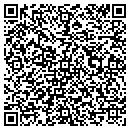 QR code with Pro Graphics Systems contacts