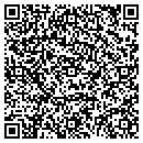 QR code with Print Systems One contacts