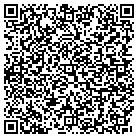 QR code with PURE FUSION MEDIA contacts
