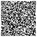 QR code with Pulse Network contacts