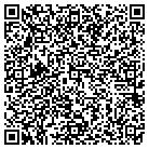 QR code with Plum Grove Strings, LLC contacts