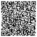 QR code with T G Container contacts