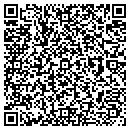 QR code with Bison Bag CO contacts