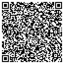 QR code with Precision Audio Video contacts