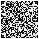 QR code with Precipice Piercing contacts