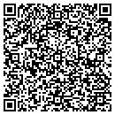 QR code with Professional Electronics contacts