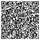 QR code with Punch Tv Inc contacts