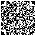 QR code with Rewind contacts