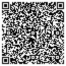 QR code with pub how contacts