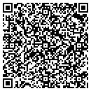 QR code with Pro-Tek Construction contacts