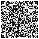 QR code with Princeton Packet Inc contacts