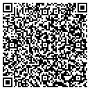 QR code with Pub Links Southern contacts