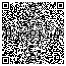 QR code with Blue Hills Tree Farm contacts