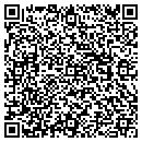 QR code with Pyes Mobile Welding contacts