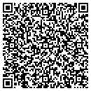 QR code with Csi Geo Turf contacts