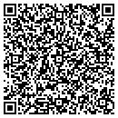 QR code with Pyrola Publishing contacts