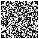 QR code with Pro Ink Corp contacts
