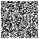 QR code with Publix contacts
