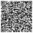 QR code with Pumps & Power Co contacts