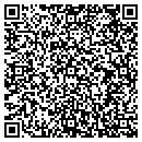QR code with Prg Schultz Usa Inc contacts
