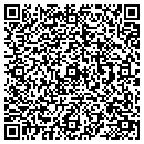 QR code with Prgx USA Inc contacts