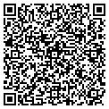 QR code with Bavier3p contacts