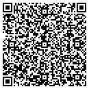 QR code with Cdi Infrastructure LLC contacts