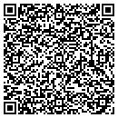 QR code with Cybiz Partners Inc contacts