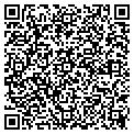 QR code with Notion contacts