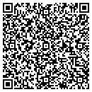 QR code with Promissor contacts