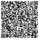 QR code with Pull-A-Part contacts