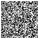 QR code with Pure Automation Inc contacts