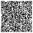 QR code with Pure Automation Inc contacts