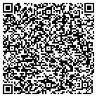 QR code with Public Affairs Strategic contacts