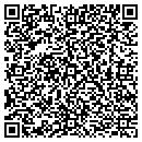 QR code with Constantine Consulting contacts