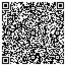 QR code with Pvi Systems LLC contacts