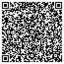 QR code with Princeton Review contacts