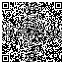 QR code with Princeton Review contacts