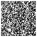 QR code with Princeton Review contacts