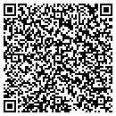 QR code with Protecs Labs contacts